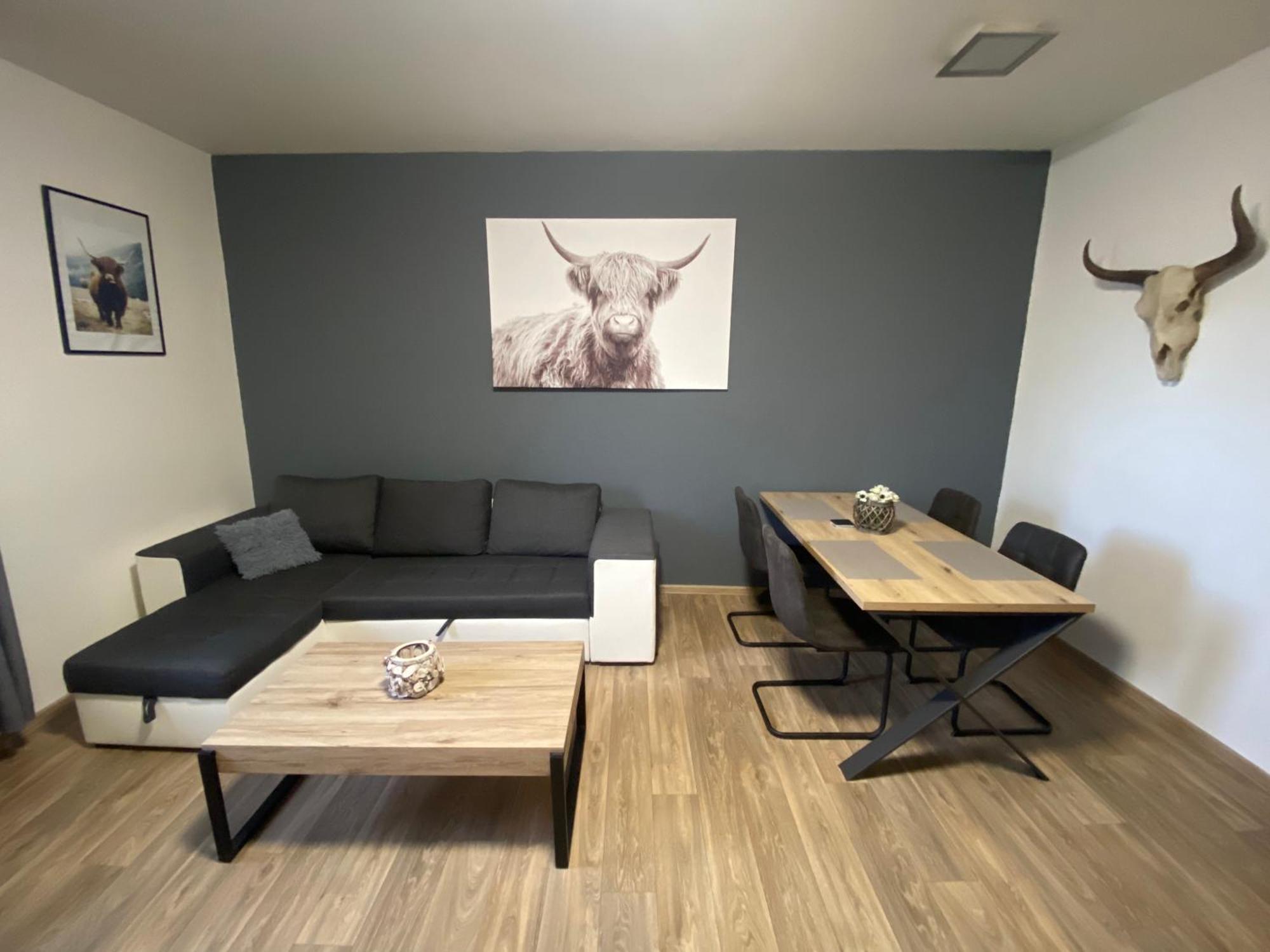 Apartmány Černý Tulipán #3 Plzeň Exterior foto